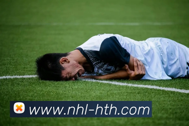 多媒体互动体验